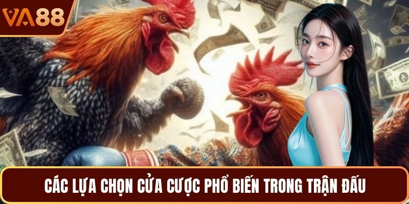 Các lựa chọn cửa cược phổ biến trong trận đấu