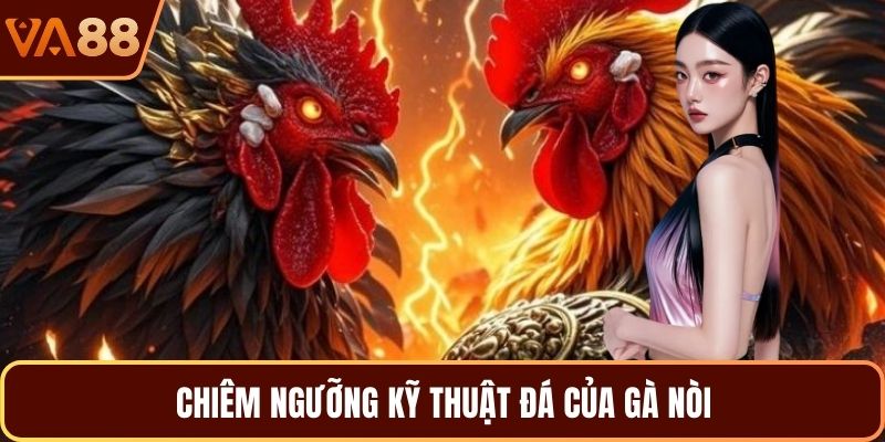 Chiêm ngưỡng kỹ thuật đá của gà nòi