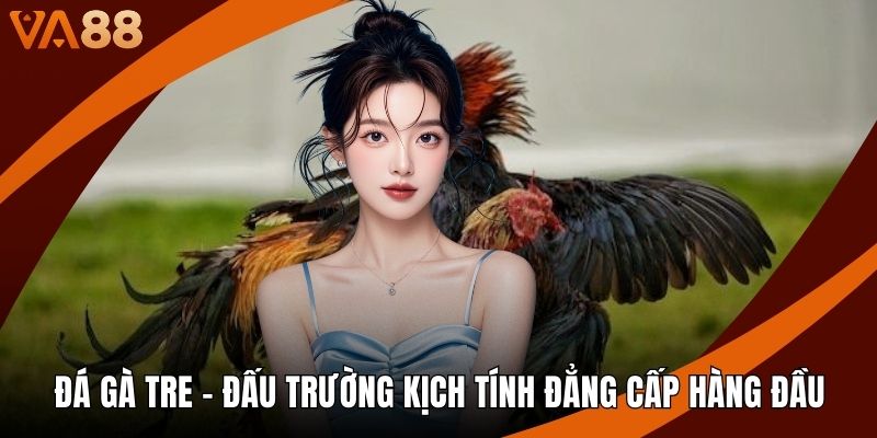 Đá Gà Tre - Đấu Trường Kịch Tính Đẳng Cấp Hàng Đầu