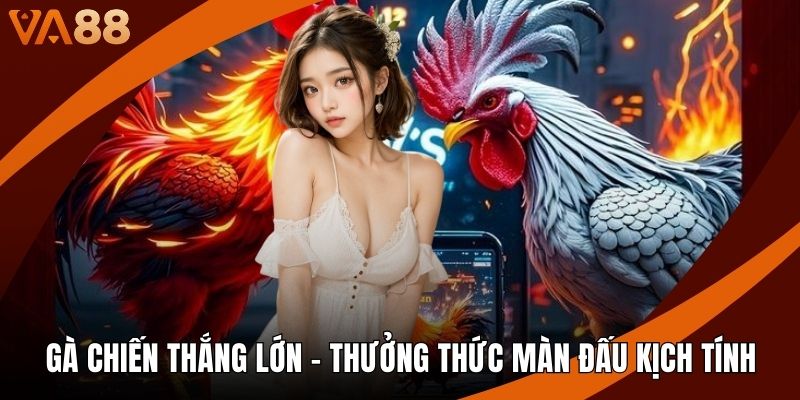 Gà Chiến Thắng Lớn - Thưởng Thức Màn Đấu Kịch Tính
