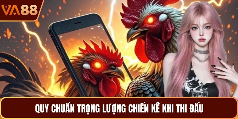 Quy chuẩn trọng lượng chiến kê khi thi đấu