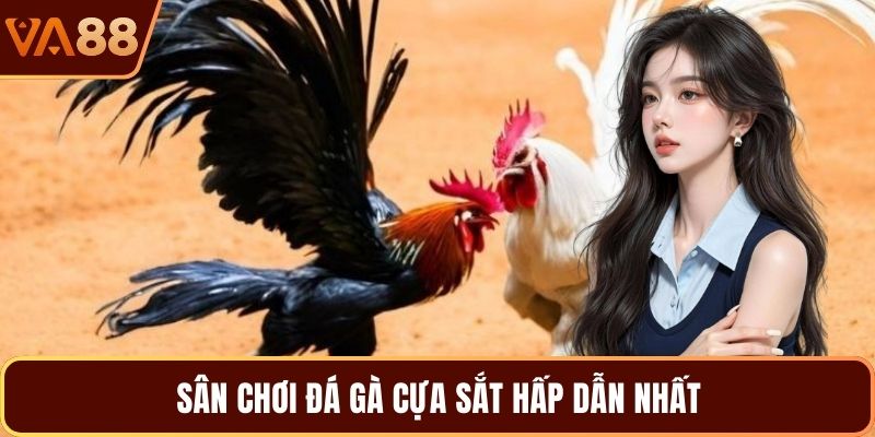 Sân chơi đá gà cựa sắt hấp dẫn nhất 