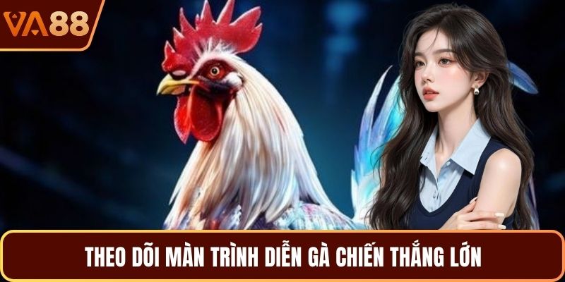 Theo dõi màn trình diễn gà chiến thắng lớn