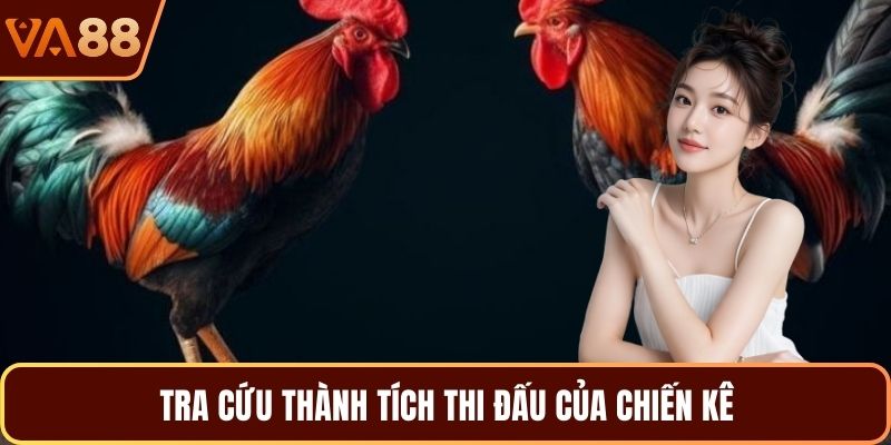Tra cứu thành tích thi đấu của chiến kê