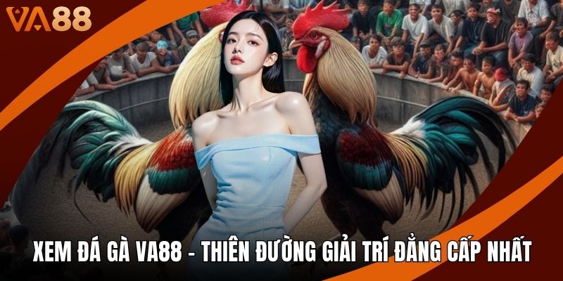 Xem Đá Gà VA88 - Thiên Đường Giải Trí Đẳng Cấp Nhất
